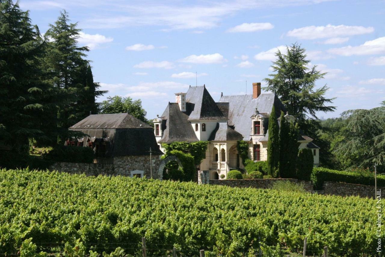Hôtel Manoir de la Groye à Saint-Saturnin-sur-Loire Extérieur photo