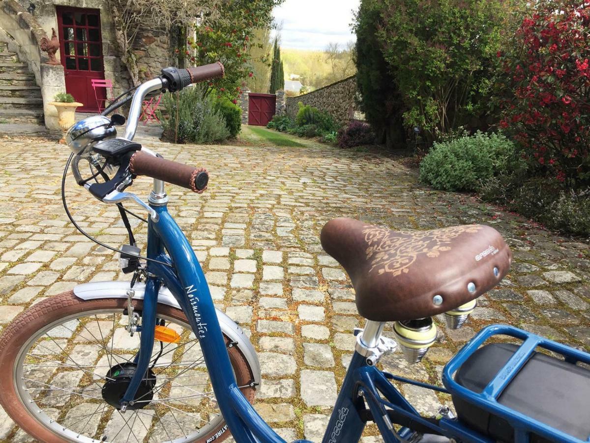 Hôtel Manoir de la Groye à Saint-Saturnin-sur-Loire Extérieur photo
